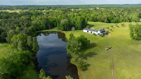 East Texas Luxury Cattle & Horse Ranch Jacksonville & Tyler - image 5