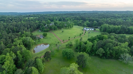 East Texas Luxury Cattle & Horse Ranch Jacksonville & Tyler - image 2