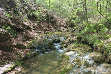Rare 274-Acre Estate with James River Views in Gladstone, VA - image 40