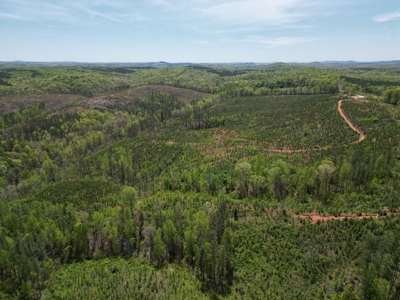 Rare 274-Acre Estate with James River Views in Gladstone, VA - image 25