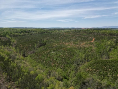 Rare 274-Acre Estate with James River Views in Gladstone, VA - image 30