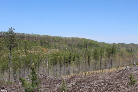 Rare 274-Acre Estate with James River Views in Gladstone, VA - image 13