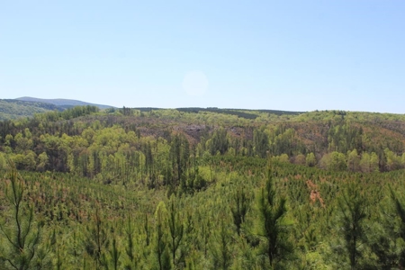 Rare 274-Acre Estate with James River Views in Gladstone, VA - image 33
