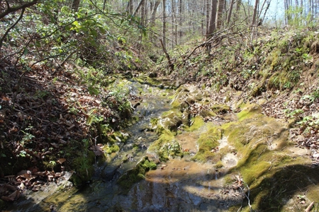 Rare 274-Acre Estate with James River Views in Gladstone, VA - image 10