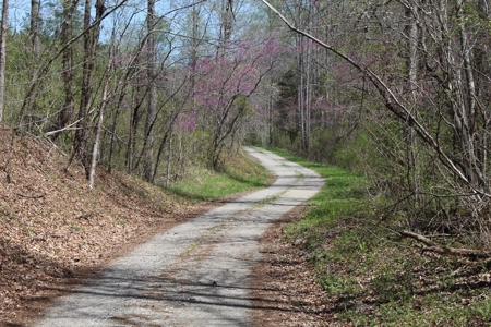 Rare 274-Acre Estate with James River Views in Gladstone, VA - image 9