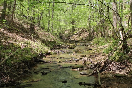 Rare 274-Acre Estate with James River Views in Gladstone, VA - image 39