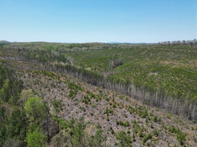 Rare 274-Acre Estate with James River Views in Gladstone, VA - image 8