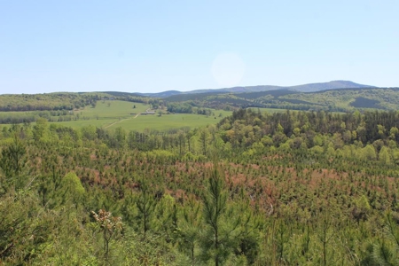 Rare 274-Acre Estate with James River Views in Gladstone, VA - image 32