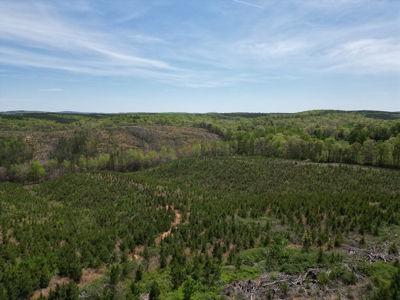 Rare 274-Acre Estate with James River Views in Gladstone, VA - image 29