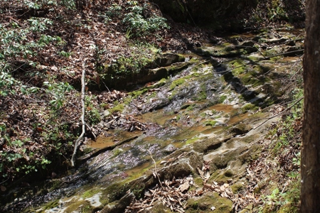 Rare 274-Acre Estate with James River Views in Gladstone, VA - image 11