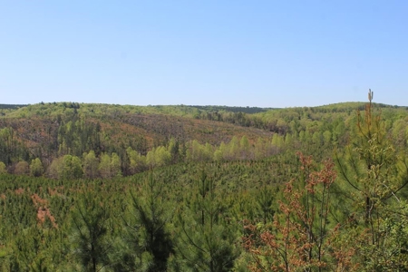 Rare 274-Acre Estate with James River Views in Gladstone, VA - image 34