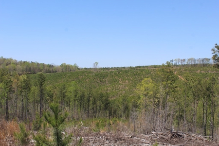 Rare 274-Acre Estate with James River Views in Gladstone, VA - image 12