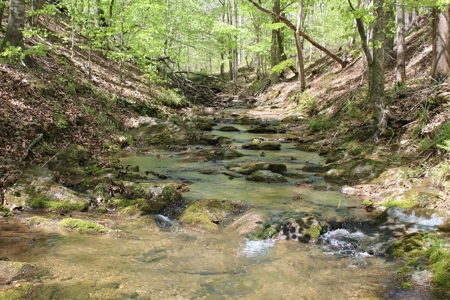 Rare 274-Acre Estate with James River Views in Gladstone, VA - image 38