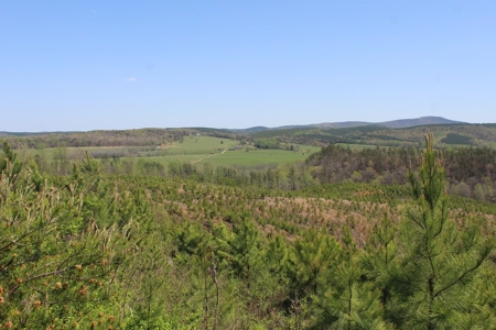 Rare 274-Acre Estate with James River Views in Gladstone, VA - image 16