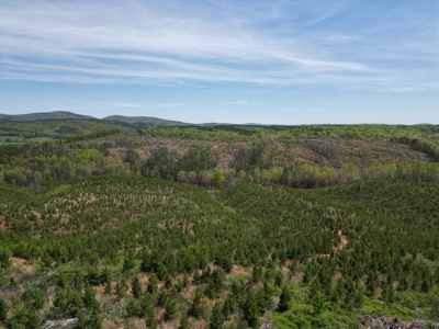Rare 274-Acre Estate with James River Views in Gladstone, VA - image 27