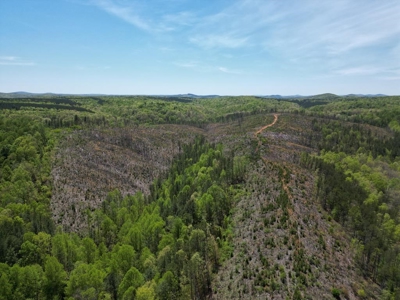 Rare 274-Acre Estate with James River Views in Gladstone, VA - image 31