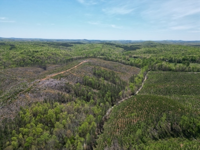 Rare 274-Acre Estate with James River Views in Gladstone, VA - image 22