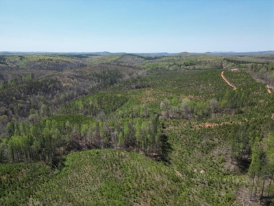 Rare 274-Acre Estate with James River Views in Gladstone, VA - image 2