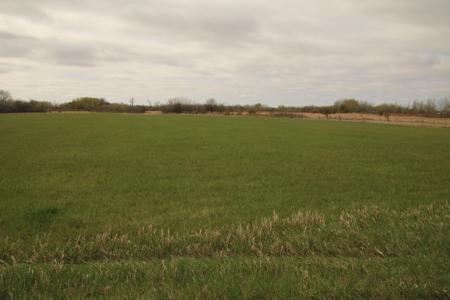 20 Acres - image 4