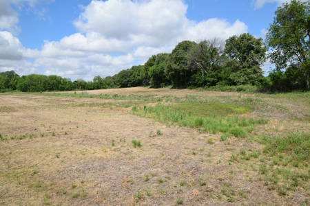 15.78 Ac. Building Spot, Mini Farm, Crockett Co, Alamo, TN - image 5