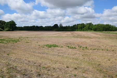 15.78 Ac. Building Spot, Mini Farm, Crockett Co, Alamo, TN - image 4