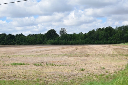 15.78 Ac. Building Spot, Mini Farm, Crockett Co, Alamo, TN - image 1