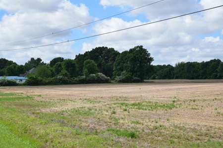 15.78 Ac. Building Spot, Mini Farm, Crockett Co, Alamo, TN - image 2