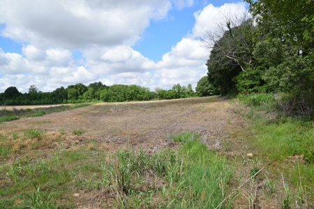 15.78 Ac. Building Spot, Mini Farm, Crockett Co, Alamo, TN - image 6