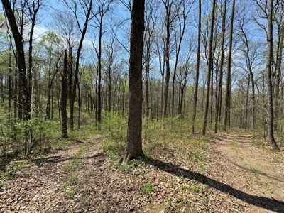 TRACT 1 - Exclusive Solsberry Indiana Online Land Auction - image 15