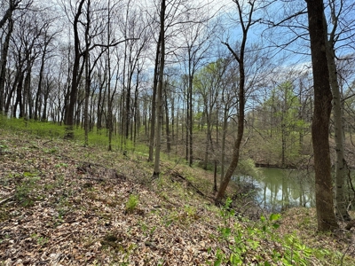 TRACT 1 - Exclusive Solsberry Indiana Online Land Auction - image 11