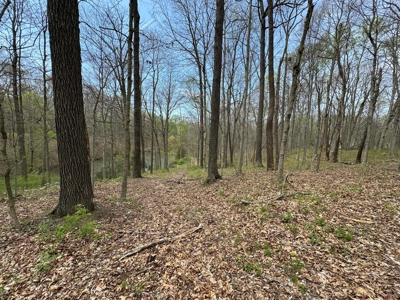 TRACT 1 - Exclusive Solsberry Indiana Online Land Auction - image 10