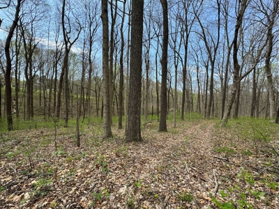 TRACT 1 - Exclusive Solsberry Indiana Online Land Auction - image 3