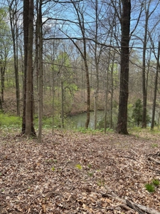 TRACT 1 - Exclusive Solsberry Indiana Online Land Auction - image 2