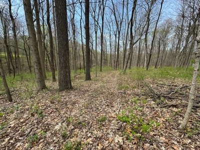 TRACT 1 - Exclusive Solsberry Indiana Online Land Auction - image 4
