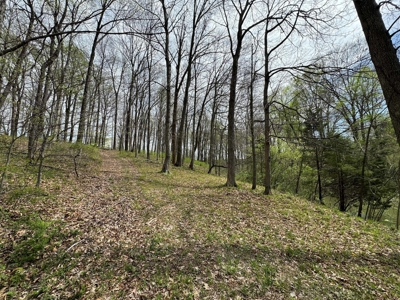 TRACT 1 - Exclusive Solsberry Indiana Online Land Auction - image 12