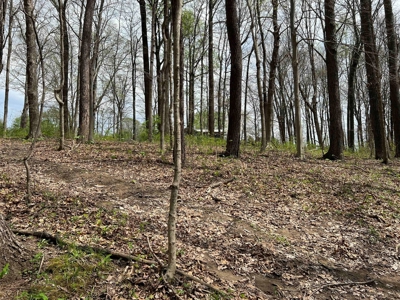 TRACT 1 - Exclusive Solsberry Indiana Online Land Auction - image 18
