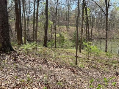 TRACT 1 - Exclusive Solsberry Indiana Online Land Auction - image 8
