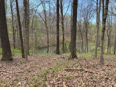 TRACT 1 - Exclusive Solsberry Indiana Online Land Auction - image 1