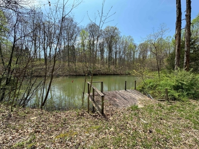TRACT 1 - Exclusive Solsberry Indiana Online Land Auction - image 13