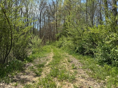 TRACT 1 - Exclusive Solsberry Indiana Online Land Auction - image 14