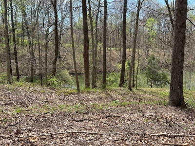 TRACT 1 - Exclusive Solsberry Indiana Online Land Auction - image 9