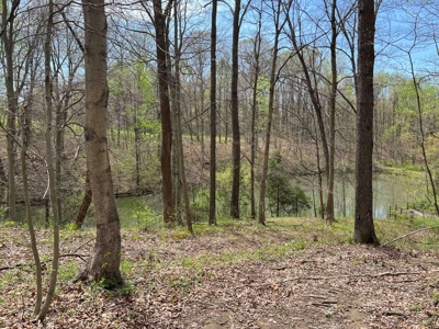TRACT 1 - Exclusive Solsberry Indiana Online Land Auction - image 17