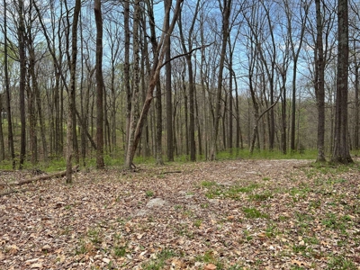 TRACT 1 - Exclusive Solsberry Indiana Online Land Auction - image 16