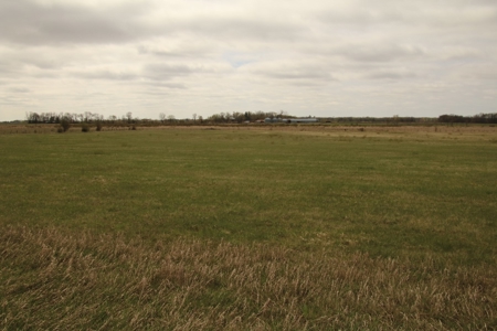 40 Acres - image 4