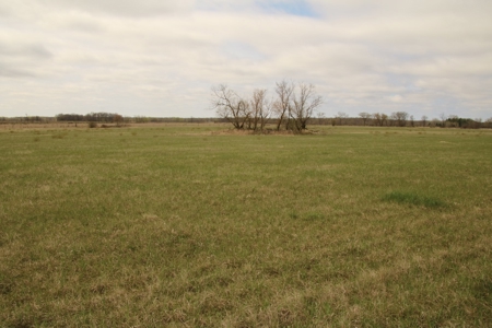 40 Acres - image 2