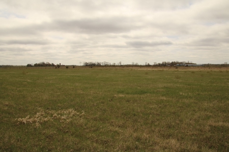 40 Acres - image 3