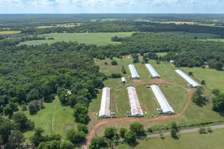 5 Acres For Sale - Gilmer, Texas - Upshur County Land - image 3