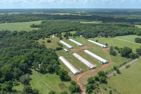 5 Acres For Sale - Gilmer, Texas - Upshur County Land - image 4