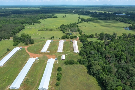 5 Acres For Sale - Gilmer, Texas - Upshur County Land - image 8