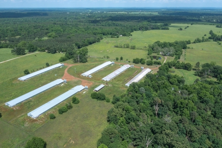 5 Acres For Sale - Gilmer, Texas - Upshur County Land - image 9